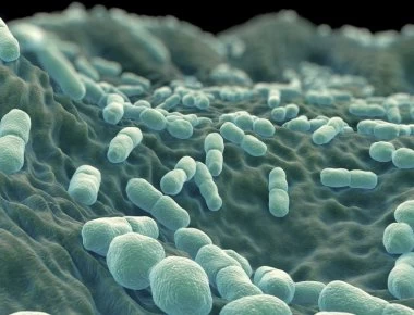 Λιστερίωση: Αυτά είναι τα συμπτώματα με τα οποία εκδηλώνεται και οι πιο «ύπουλες» τροφές